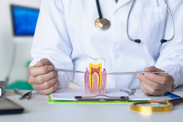 Best Pediatric Emergency Dentist in Manchester, GA